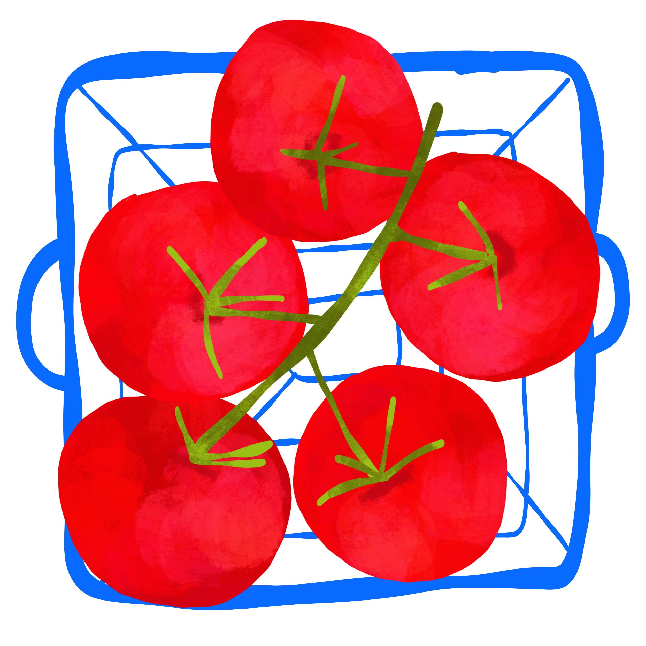 suchi.draws
