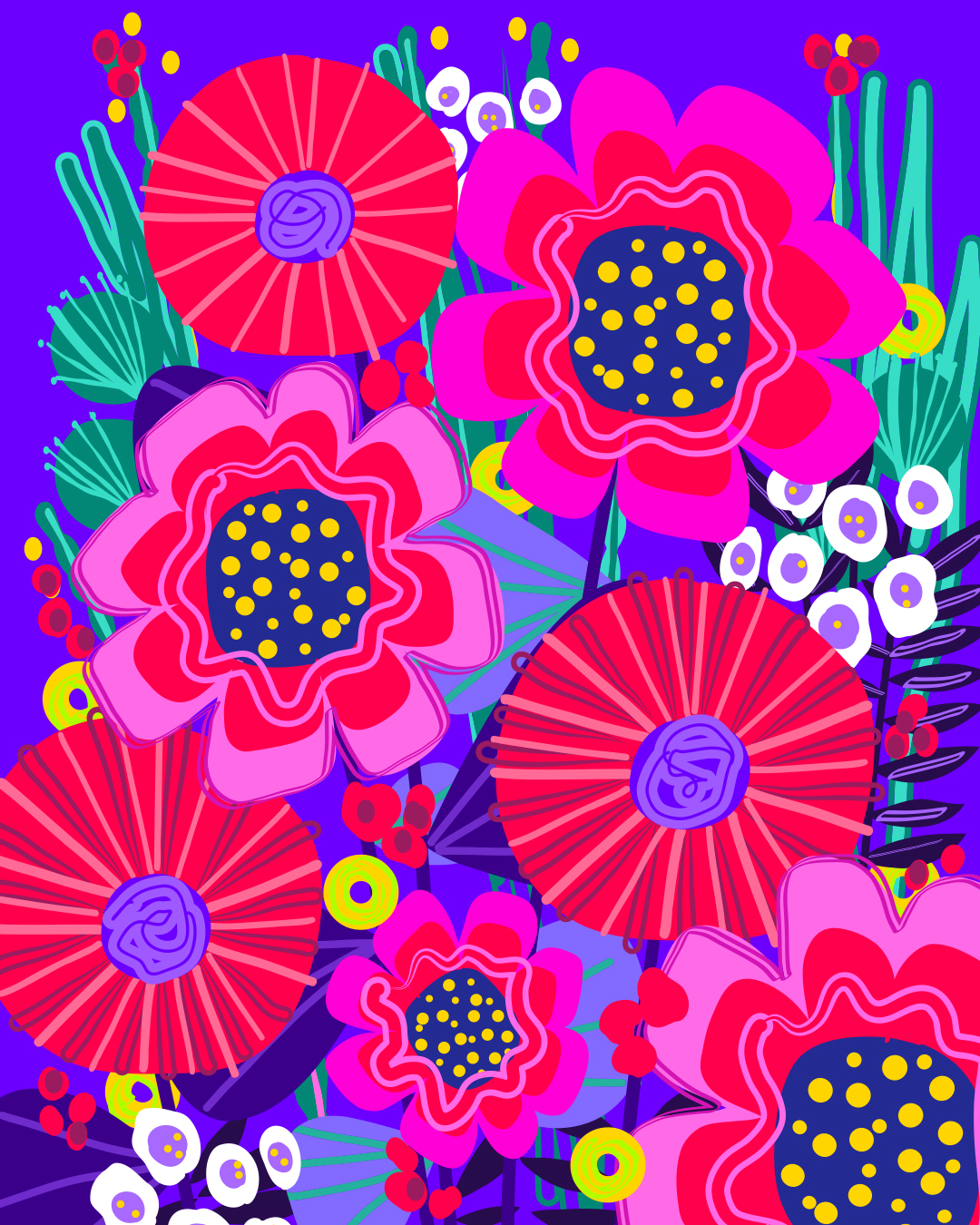 suchi.draws