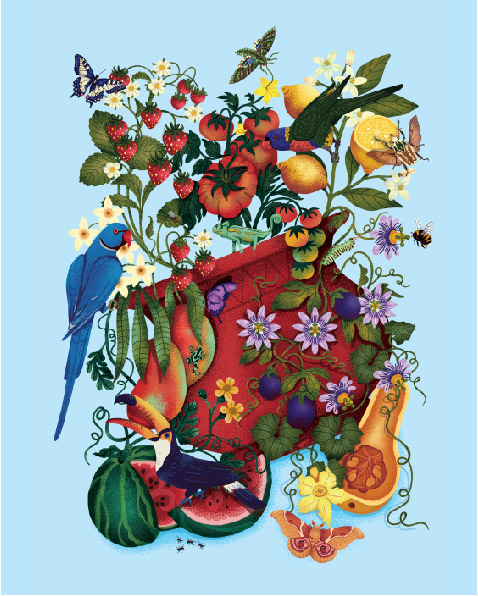 Eva Faerch