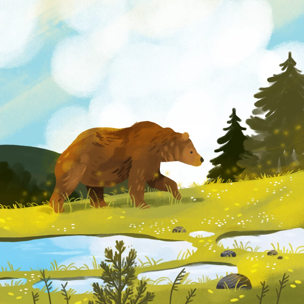 travellingfoxdesign