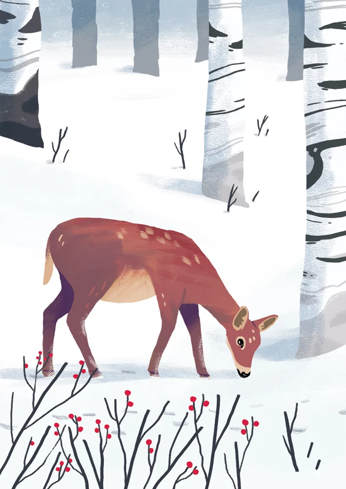 travellingfoxdesign