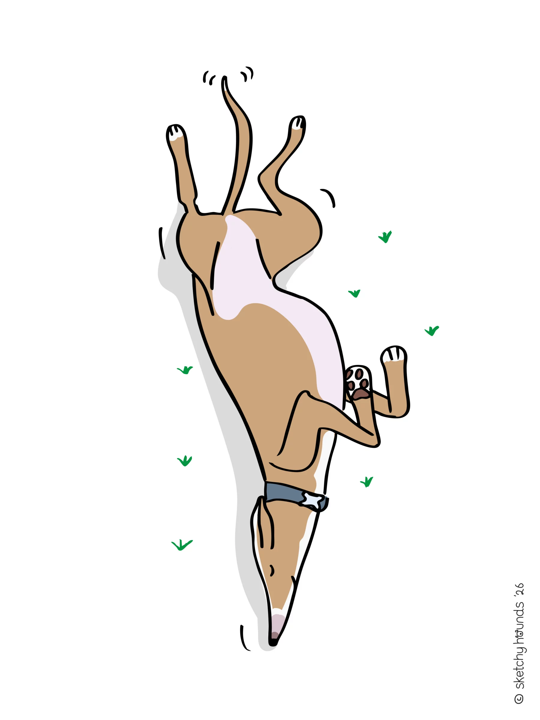 Sketchy Hounds